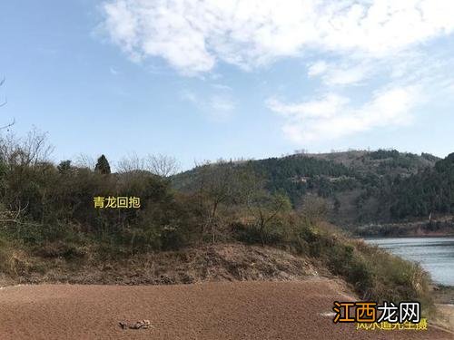 兔子见龙不长久,青龙见兔泪交流 2023年为什么是黑兔年，2022年好多人都撑不住了