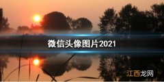 微信头像图片2021最新款 微信头像图片2021分享