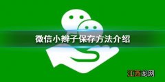 微信小辫子怎么保存 微信小辫子保存方法介绍