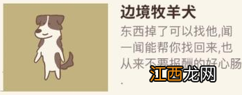 微信动物餐厅边境牧羊犬来访条件是什么 边境牧羊犬来访条件介绍