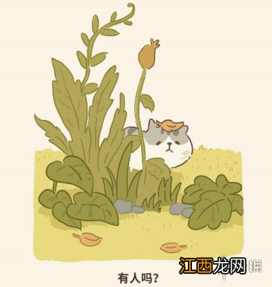 微信动物餐厅小精灵来访条件是什么 小精灵来访条件介绍