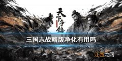 三国志战略版净化有用吗 三国志战略版A级战法净化技能怎么用