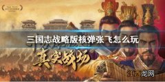 三国志战略版核弹张飞怎么玩 三国志战略版核弹流张飞攻略