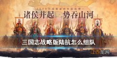 三国志战略版陆抗怎么组队 三国志战略版陆抗技能搭配阵容推荐