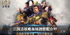 三国志战略版陆逊战法搭配攻略 三国志战略版陆逊搭配介绍