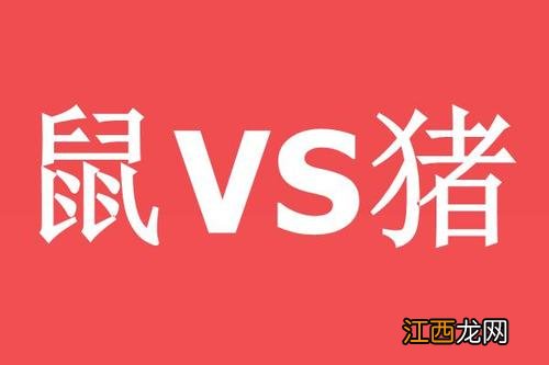 属鼠的跟属猪的合不合 属鼠和属猪的合不合，属猪的和属鼠的婚姻相配吗