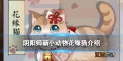 阴阳师花缘猫怎么获得 阴阳师新小动物花缘猫配饰获取方式一览