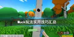 Muck怎么玩 Muck玩法实用技巧汇总