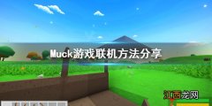 Muck游戏怎么联机 Muck游戏联机方法分享