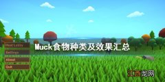 Muck食物有哪些 Muck食物种类及效果汇总