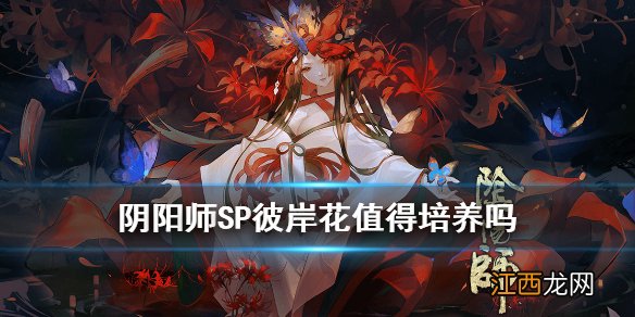 阴阳师SP彼岸花值得培养吗 阴阳师SP彼岸花御魂搭配