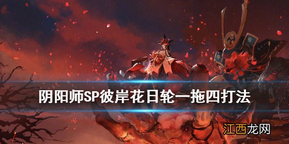 阴阳师SP彼岸花PVE就业推荐 阴阳师SP彼岸花日轮一拖四打法