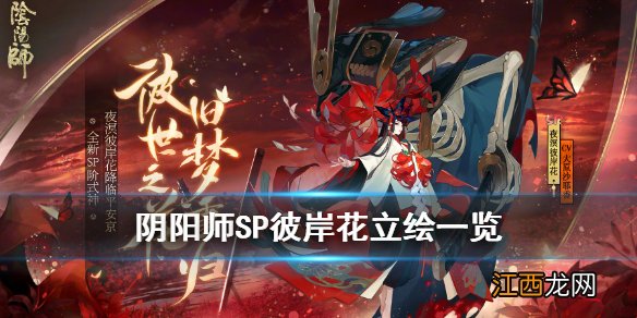 阴阳师SP彼岸花立绘一览 阴阳师新式神夜溟彼岸花介绍