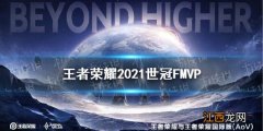 王者荣耀世冠fmvp是谁 王者荣耀2021世冠fmvp介绍