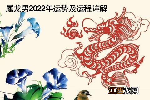 属龙人2022年运势运程每月运程 2000属龙的孩子在2020年运势，1988年属龙人2021年运势运程