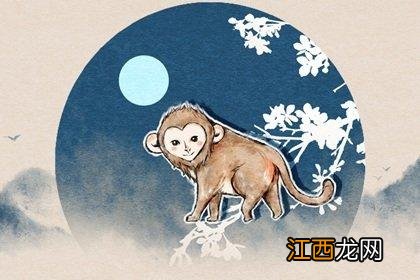 属猴的今年有几岁了 属猴的今年年龄，属猴几点出生最好男孩