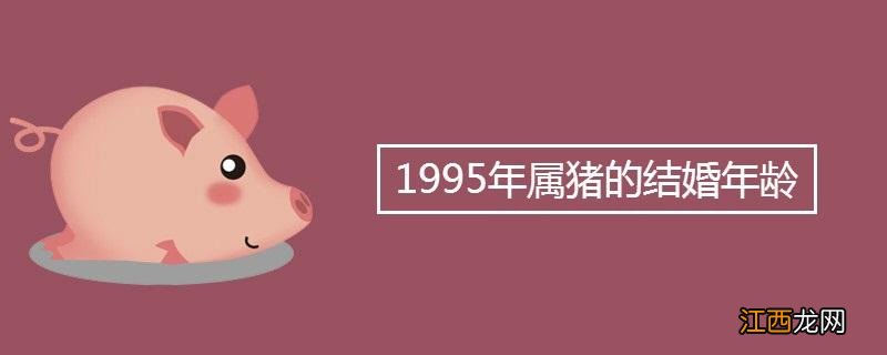 95年属猪事业方向 1995属猪一生大劫年，95属猪女正缘在哪一年