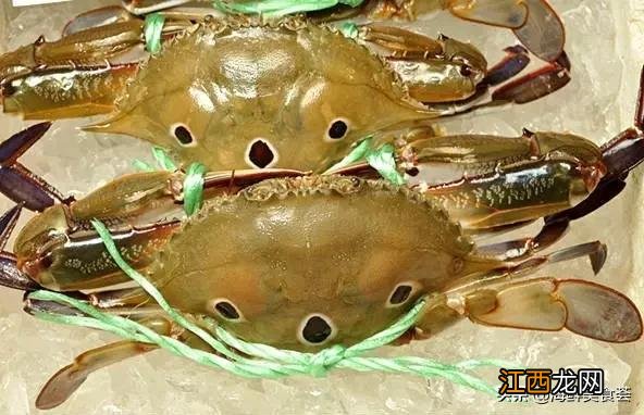 青蟹怎么写 青蟹什么意思