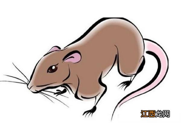 1992年属猴在2023年的运程 1996属鼠2021年运势及运程,2022年属鼠人运程