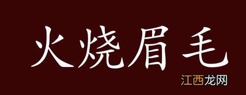 2020年属鸡人的全年运势 2021生肖鸡大预言，2021年属鸡的贵人是谁