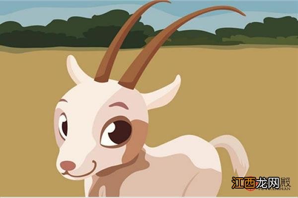 屬羊的貴人 屬羊的人命運，屬羊最忌諱的屬相