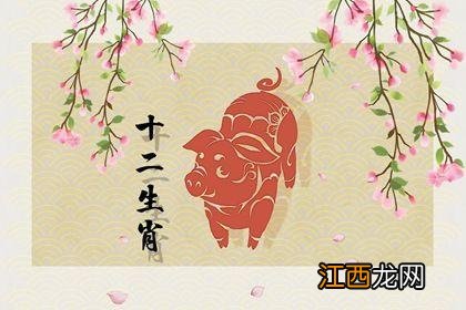 95年属猪男女适合结婚吗 95年属猪最佳结婚年龄，1995属猪的命运与婚姻