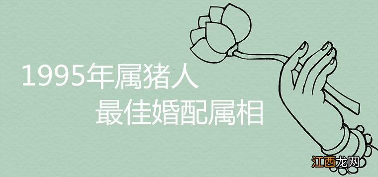 1995年属猪生男生女表 95年属猪的婚配表大全集，95属猪女正缘在哪一年