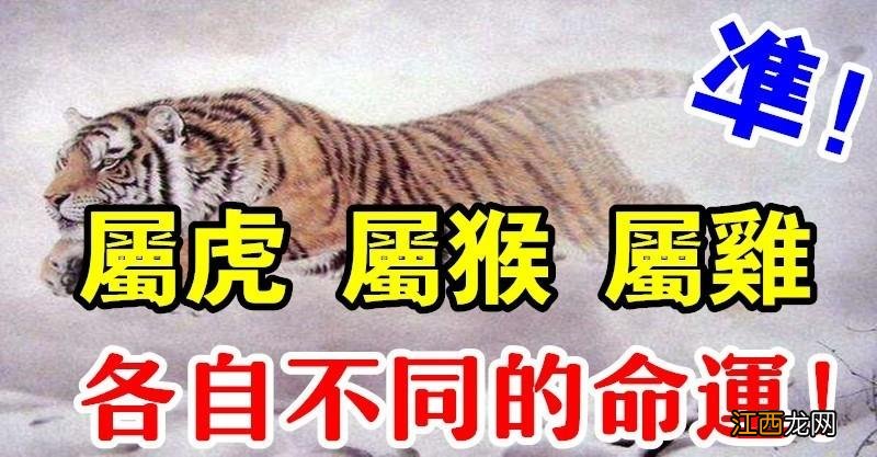 猴和兔相冲吗 几月的猴不与虎相克，三月虎和七月猴相冲