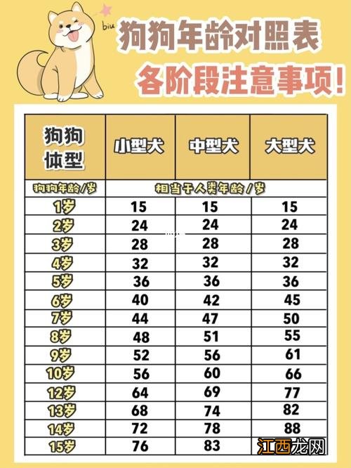 属狗的年龄对照表 2020生肖狗今年几岁，属狗今年几岁