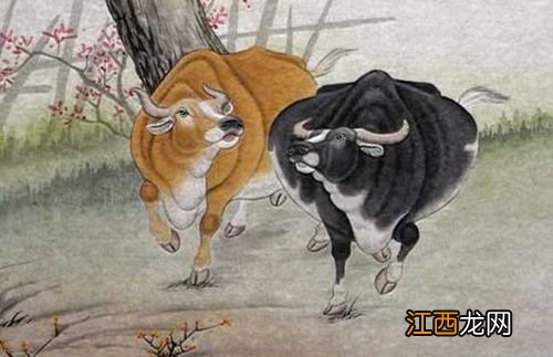 属牛女适合做什么生意 属牛人做什么行业发财，属牛的学什么技术最合适