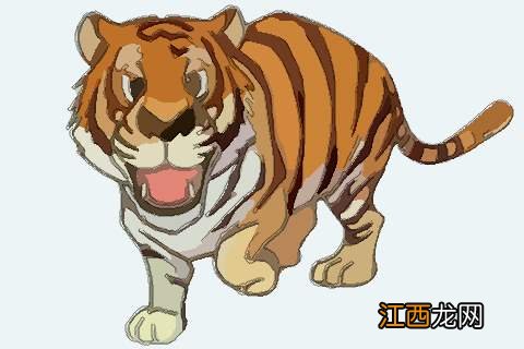 虎年生孩子为什么不好 为什么虎年不要孩子,对父母超级好的属相