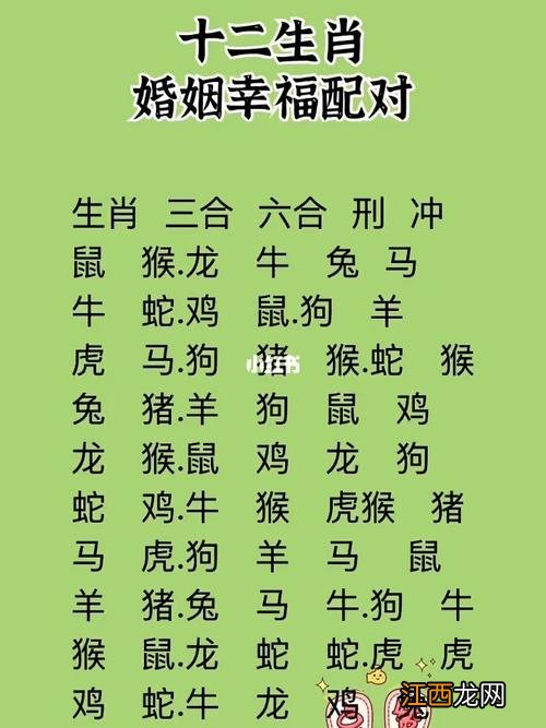 十二生肖最佳配偶 哪两个生肖不能做夫妻，夫妻同一个生肖好不好