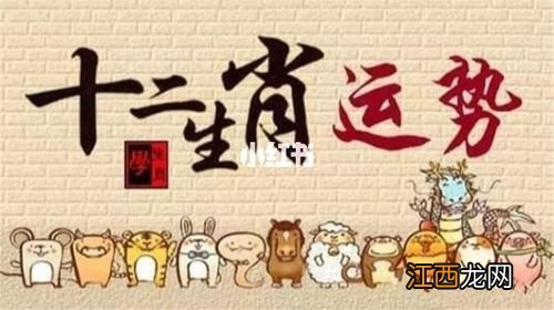 12生肖每日运势天天看 每日十二生肖运势播报，今日特吉生肖小运播报2019年