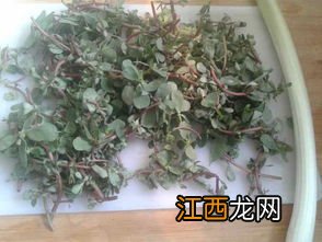 马苋莱怎么吃？