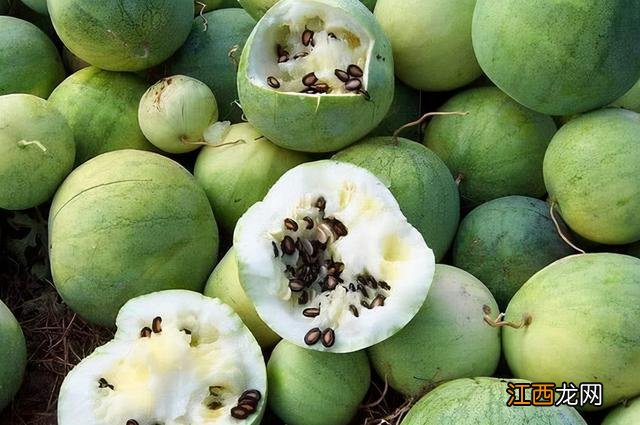跟西瓜一样的瓜叫什么 西瓜是什么鸡