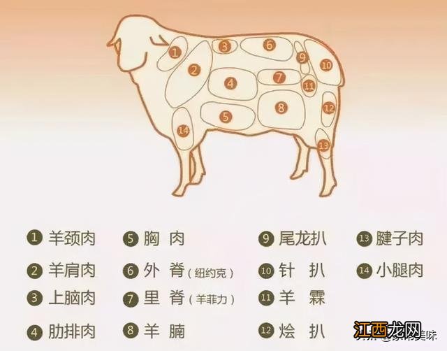 一年四季什么时候吃羊肉最好 什么时候吃羊肉好