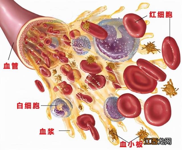 血小板太低有什么危险 血小板低禁吃什么食物