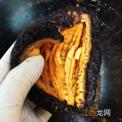 煮海参用什么水煮好 海参用什么锅煮好一点