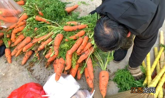 羊肉和什么菜搭配好 羊肉放什么菜好吃