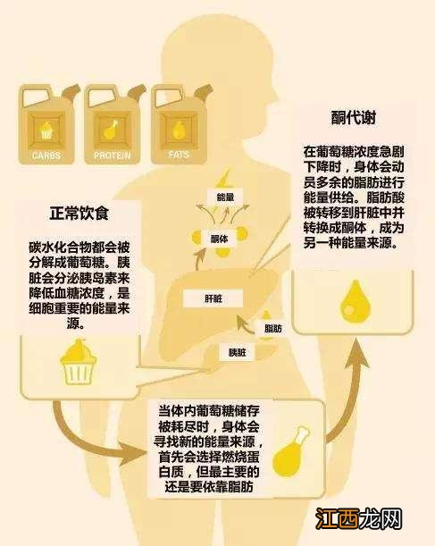 白蛋白球蛋白倒置是什么病 什么是蛋白倒置