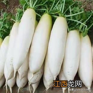 秋天养肺吃什么食疗效果最好 秋天补肺吃什么食物