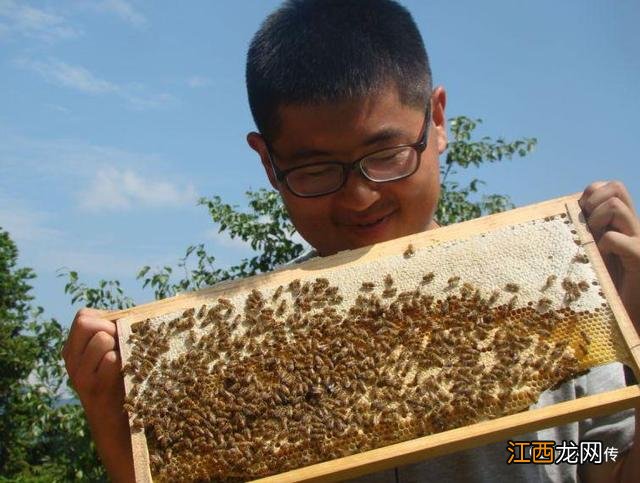 茶叶蜜香是什么味道 蜜茶是什么味道的茶