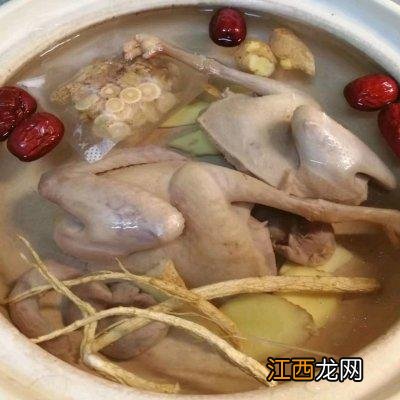 鸽子汤配什么食物最佳 鸽子汤放什么好