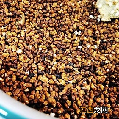 大米搭配什么煮粥最好 大米熬粥放什么菜好