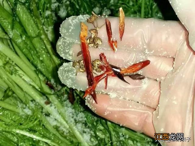 雪里红咸菜为什么苦 雪里红为什么苦