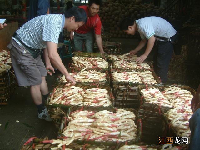 小黄姜和泥姜的区别 生姜与泥姜有什么区别