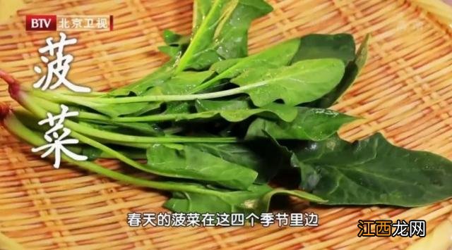 菠菜根为什么是红色的 菠菜的根为什么是青色