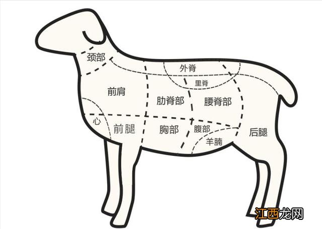 炖羊肉用哪里的肉 炖羊肉用什么位置的肉