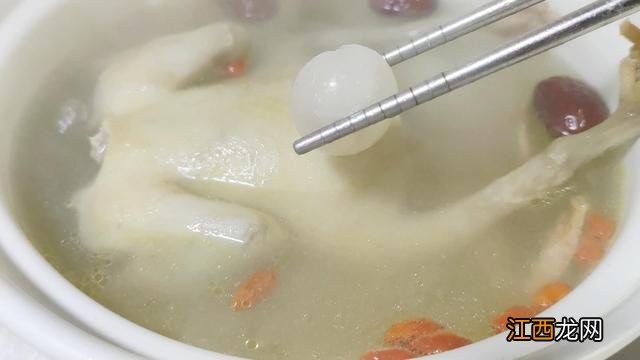 鸽子用什么锅炖比较有营养 熬鸽子汤用什么锅合适