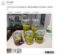 梅子酒用什么酒泡好喝 红色的梅子泡酒喝的是什么梅